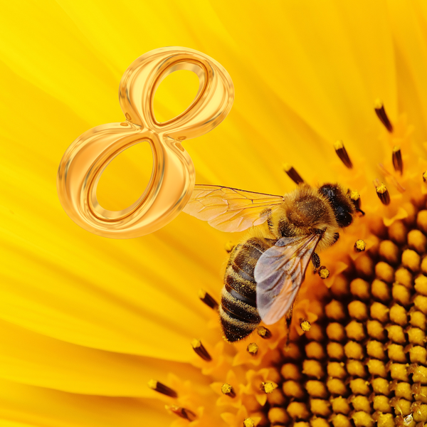 Пчелите и числата
