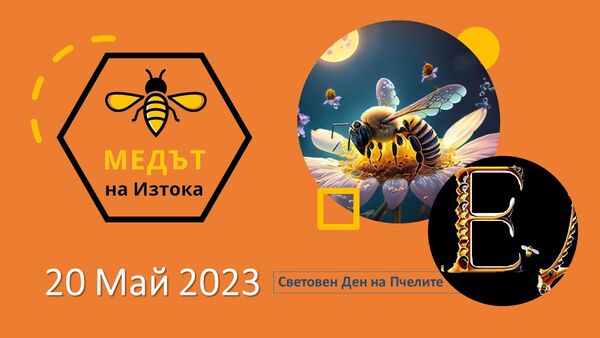 20.05.23 -the irreplaceable Bee