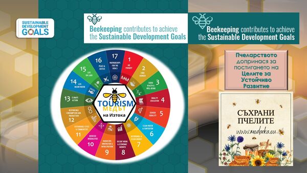 Beekeeping & the 17 Sustainable Development Goals