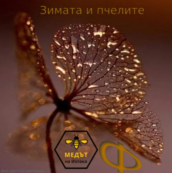 Зимата и пчелите