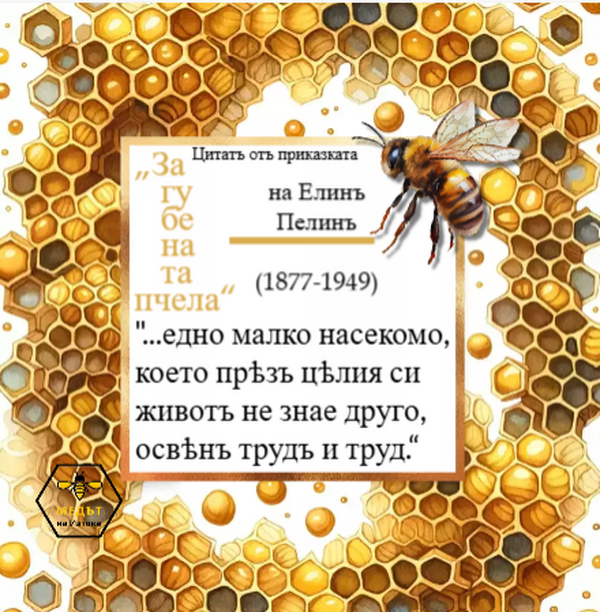 Цитат от прозата на Елин Пелин