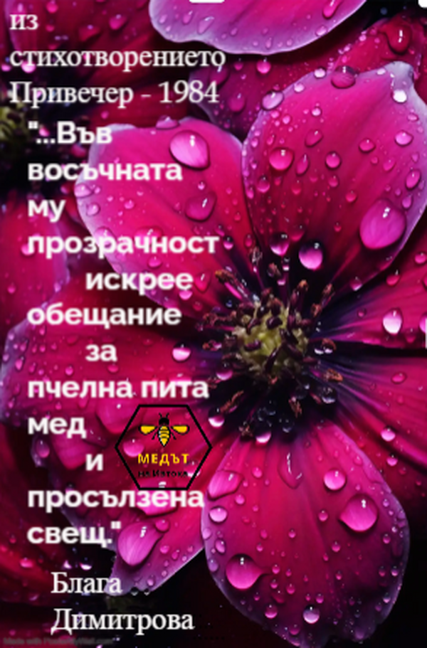 Цитат от поезията на Блага Димитрова